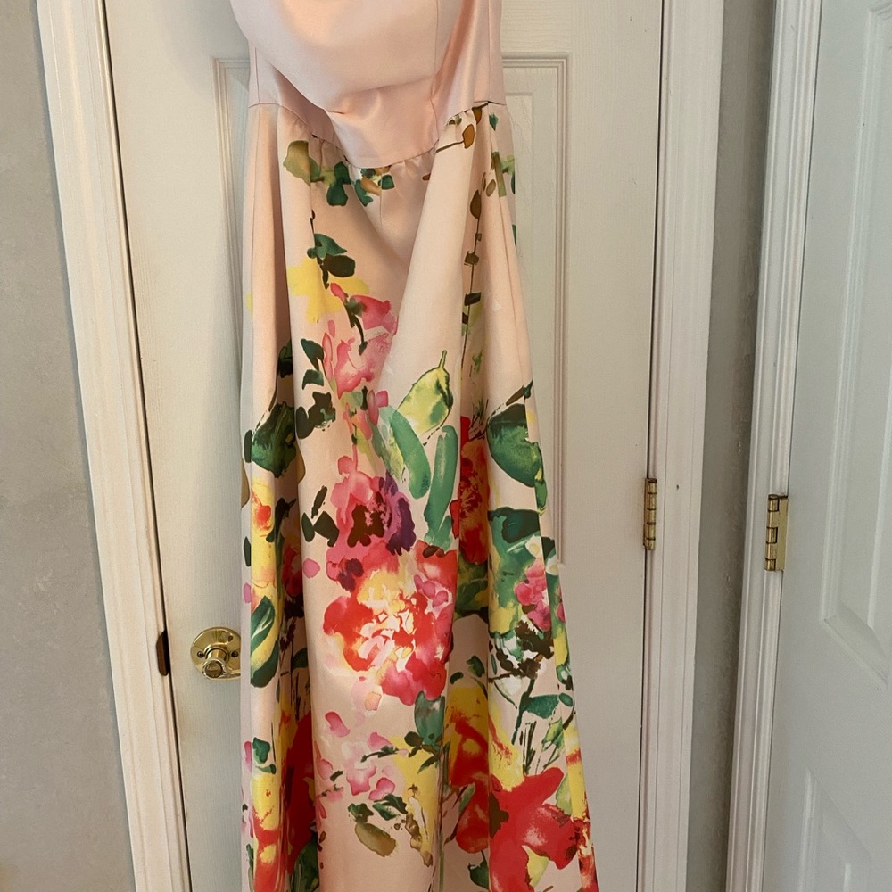 Alfred sung floor length ball gown worn twice